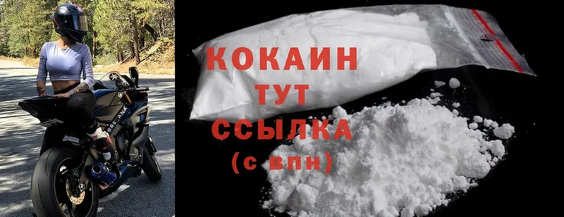 COCAIN FishScale  купить закладку  Дудинка 